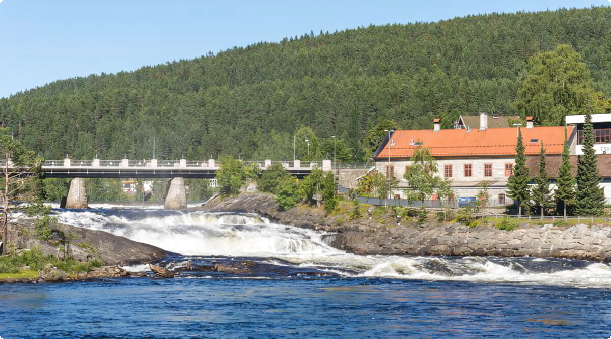 Wat zijn de populairste voertuigkeuzes in Kongsberg?